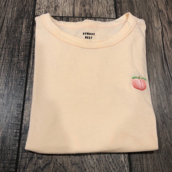 Aritzia Tops - Sunday Best Peach Embroidered Tee